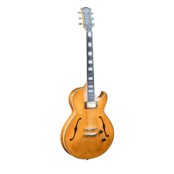 Semiacoustic Hollowbody